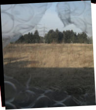 Add your one line caption using the Image tab of the Web Properties dialog